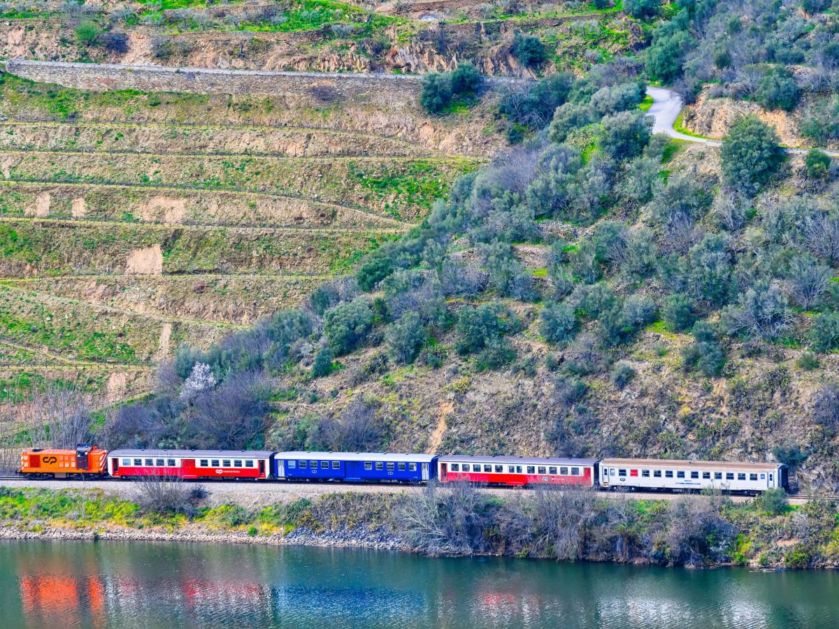 Douro Valley, Portugal - July 5, 2024: A passenger train moving the riverbank of the Douro River
